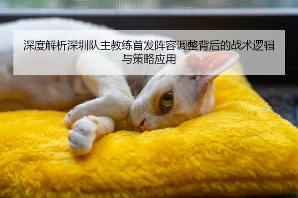 深度解析深圳队主教练首发阵容调整背后的战术逻辑与策略应用